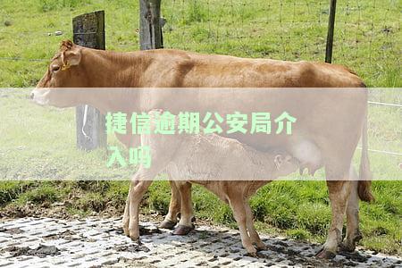捷信逾期：真会找公安部门处理吗？