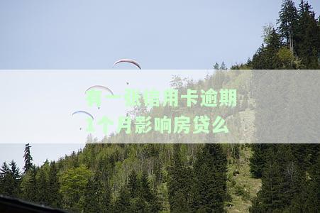 有一张信用卡逾期1个月，会影响房贷吗？