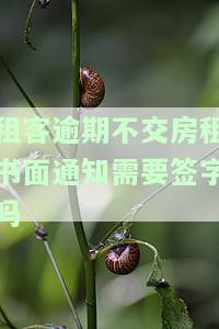 租客逾期不交房租书面通知需签字？如何撰写？