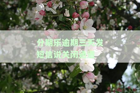 分期乐逾期3天就发短信过来说取消分期还款，分期乐逾期3天即发送短信通知，取消分期还款成为必要选择