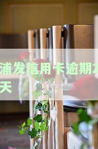 浦发信用卡逾期2天利息700多：是否正常？如何处理？