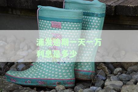 浦发逾期一天会不会上征信，浦发银行信用卡逾期一天会记录在个人征信报告中吗？