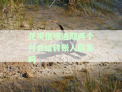 花呗借呗逾期两个月会打电话给家人吗，花呗、借呗逾期两个月，是否会通知家人？
