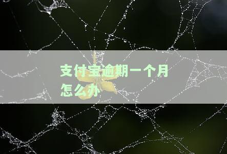 支付宝逾期一个月会有影响吗今后还能用吗，支付宝逾期一个月会对账户产生何种影响？未来能否继续使用？