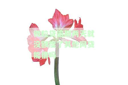 微粒贷逾期两天就没额度了其他网贷能借吗-微粒贷逾期两天就没额度了其他网贷能借吗