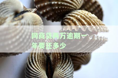 网商贷两万逾期一年要还多少-网商贷两万逾期一年要还多少钱