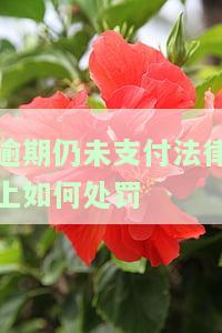 逾期仍未支付法律上如何处罚，逾期未支付的法律后果：你将面临何种处罚？