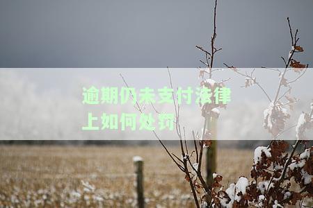 逾期仍未支付法律上如何处罚规定，逾期未支付的法律后果与处罚规定详解