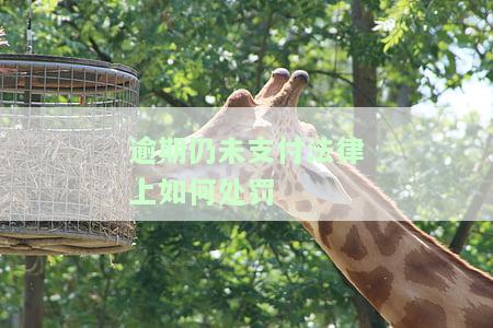 逾期未支付是什么意思？请解释一下