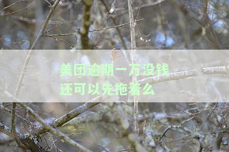 美团逾期一万多给我说上法庭是真的吗，美团：逾期一万多元，是否会上法庭？