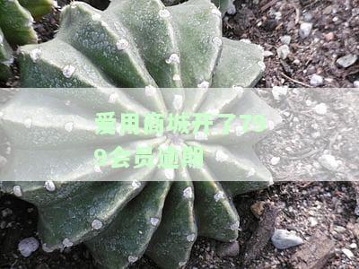 爱用商城799会员审核时间：多久能通过？