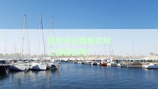 如果说信用卡逾期会怎么样？逾期多少金额会立案？