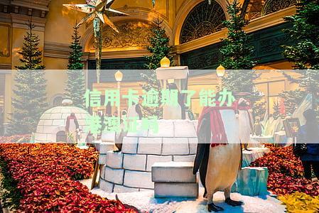 欠信用卡逾期可以办身份证吗，信用卡逾期未还，还能办理身份证吗？
