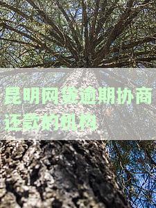 昆明网贷逾期协商还款的机构-昆明网贷逾期协商还款的机构有哪些