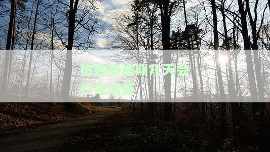 拍拍贷逾期几天会打电话催-拍拍贷逾期几天会打电话催收吗