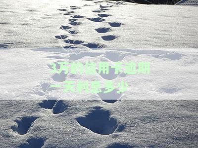 3万的信用卡逾期一天利息多少钱，信用卡逾期一天，3万元需要支付多少利息？