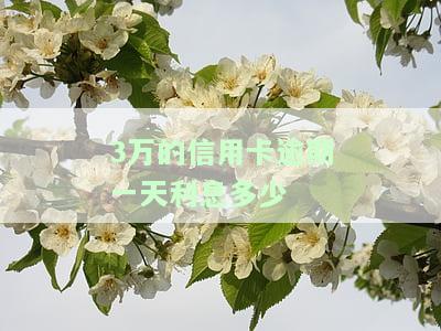 信用卡30000逾期利息：一个月多少钱？逾期3万块利息是多少？