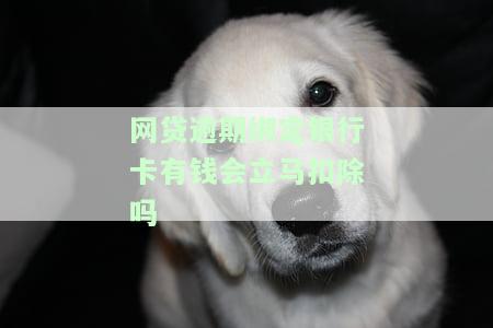 网贷逾期绑定银行卡有钱会立马扣除吗安全吗，网贷逾期：银行卡绑定后，有钱就会被立即扣除吗？安全性如何？