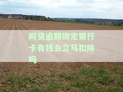 网贷逾期绑定银行卡有钱会立马扣除吗怎么办，网贷逾期：银行卡内有钱会被立即扣除吗？解决方案大揭秘！
