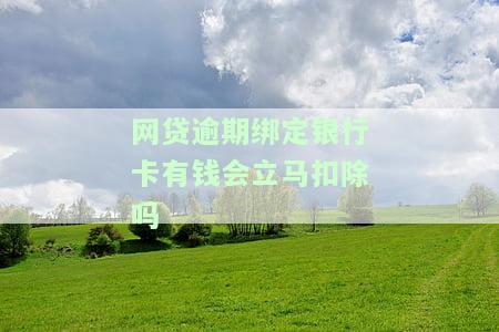 网贷欠款绑定银行卡会被扣钱吗，网贷欠款：银行卡会被自动扣款吗？