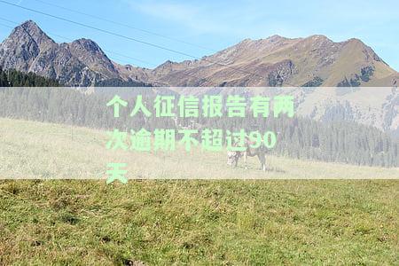 个人征信报告有两次逾期不超过90天怎么办，如何处理个人征信报告上的两次不超过90天的逾期记录？