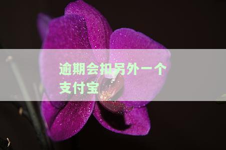 逾期会扣另外一个支付宝吗，关于逾期处理：是否会扣另一个支付宝账户的余额？