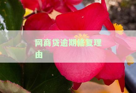 网商贷逾期修复理由-网商贷逾期申诉