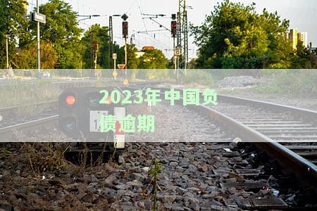 2023年中国负债逾期率，2023年：透视中国负债逾期率，揭示经济风险与机遇