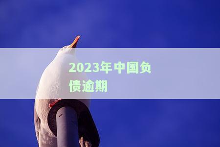 2023年中国负债逾期