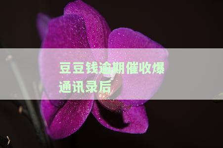 豆豆钱逾期催收爆通讯录后