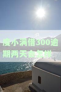 度小满逾期两天后能否继续借款？逾期有何影响？