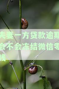 夫妻一方贷款逾期会不会冻结微信零钱