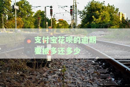 支付宝花呗逾期多久会要求全部还清欠款，逾期还款：支付宝花呗多久会被要求一次性还清所有欠款？