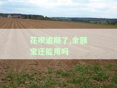 花呗逾期后，余额宝是否仍能正常使用？安全性如何？