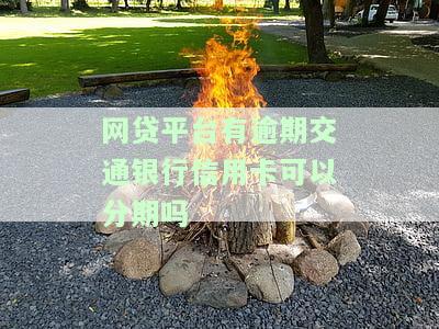 交通银行有网贷可以办吗，网贷申请攻略：交通银行是否支持办理？