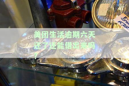 美团生活费逾期六天还了以后就不能再用了吗，美团生活费逾期六天还款后能否继续使用？