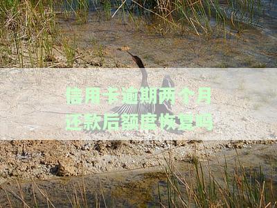 信用卡逾期两个月还款后额度恢复吗