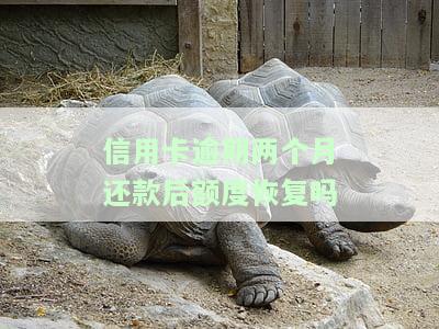信用卡逾期两个月还款后额度能恢复吗？真的吗？