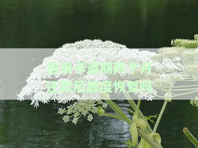信用卡逾期两个月还款后额度恢复吗