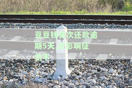 豆豆钱逾期了几天还款失败是怎么回事，逾期还款失败？探究豆豆钱未按时归还的原因