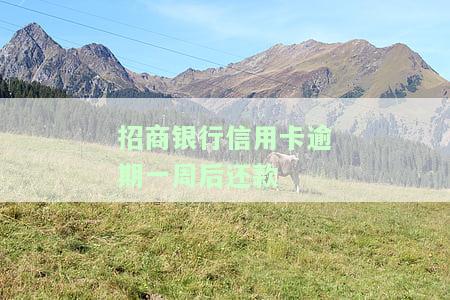 招商银行逾期一个星期对征信有影响吗，逾期一个星期会对招商银行的征信产生影响吗？
