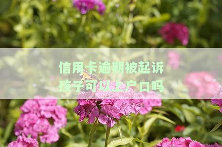 信用卡逾期被起诉孩子可以上户口吗怎么办，信用卡逾期被起诉，孩子的户口问题如何解决？