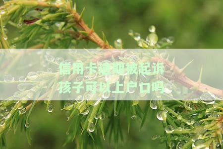 欠信用卡被起诉对家人什么影响，信用卡欠款被起诉，会对家人产生哪些影响？