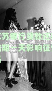 江银行贷款还款逾期一天是否会影响征信？解决方案是什么？