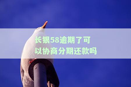 长银58：如何申请期还款？客服电话解析