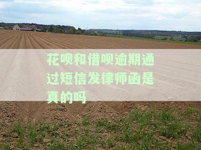 花呗借呗逾期73天，客服称将寄律师函是真的吗？