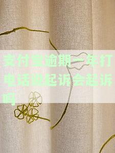 支付宝逾期一年打电话说起诉会起诉吗-支付宝逾期一年说要起诉