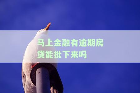 马上金融有逾期房贷能批下来吗