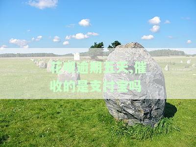 支付宝花呗逾期几天会打电话来吗，担心逾期？了解支付宝花呗的催款方式