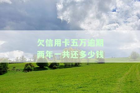 欠信用卡5万逾期两年了，信用卡欠款5万元逾期2年，该如何处理？